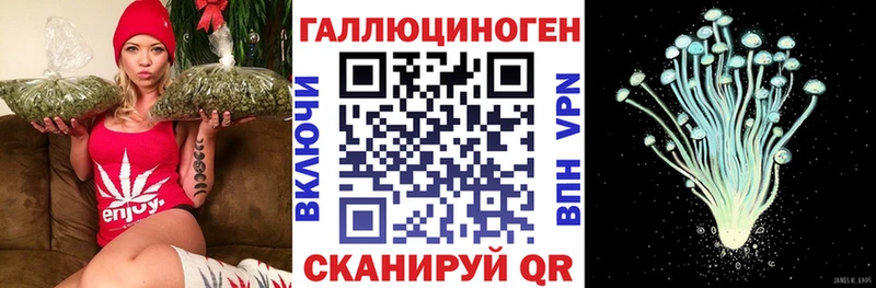 Псилоцибиновые грибы Psilocybe  сколько стоит  Симферополь 